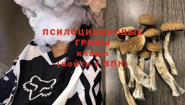 дмт Алексеевка