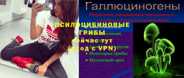 дмт Алексеевка