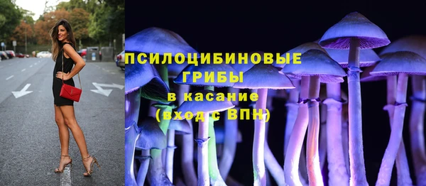 дмт Алексеевка