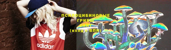 дмт Алексеевка