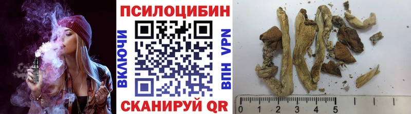 Псилоцибиновые грибы прущие грибы наркотики Новопавловск